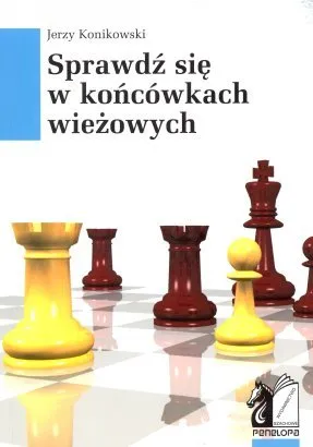 sprawdz_koncowkach_wizowych